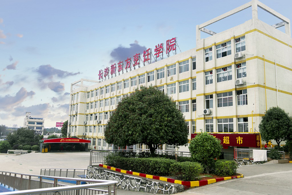 長沙新東方學費多少