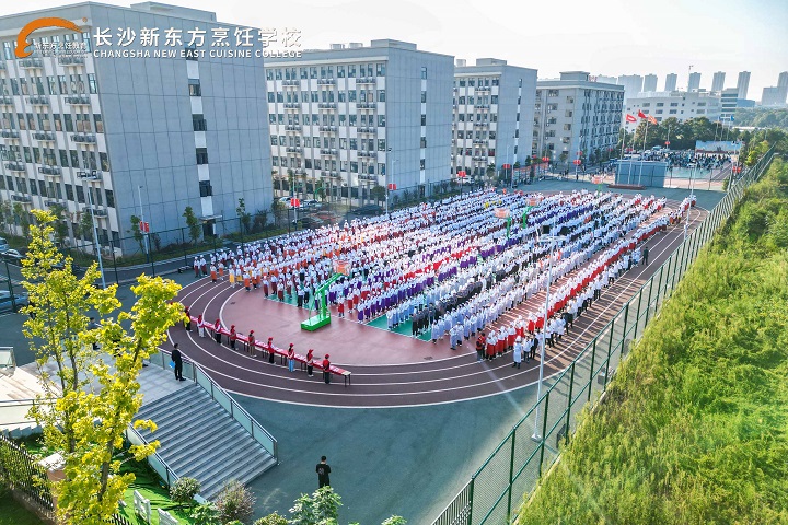 職業(yè)教育
